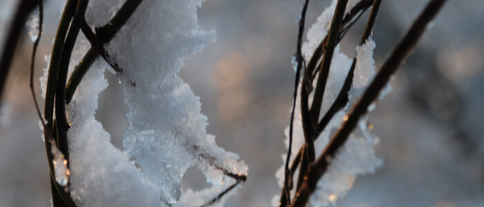 vinterbild-1
